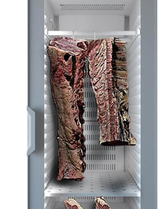 Armario madurador de carne 1 puerta.
